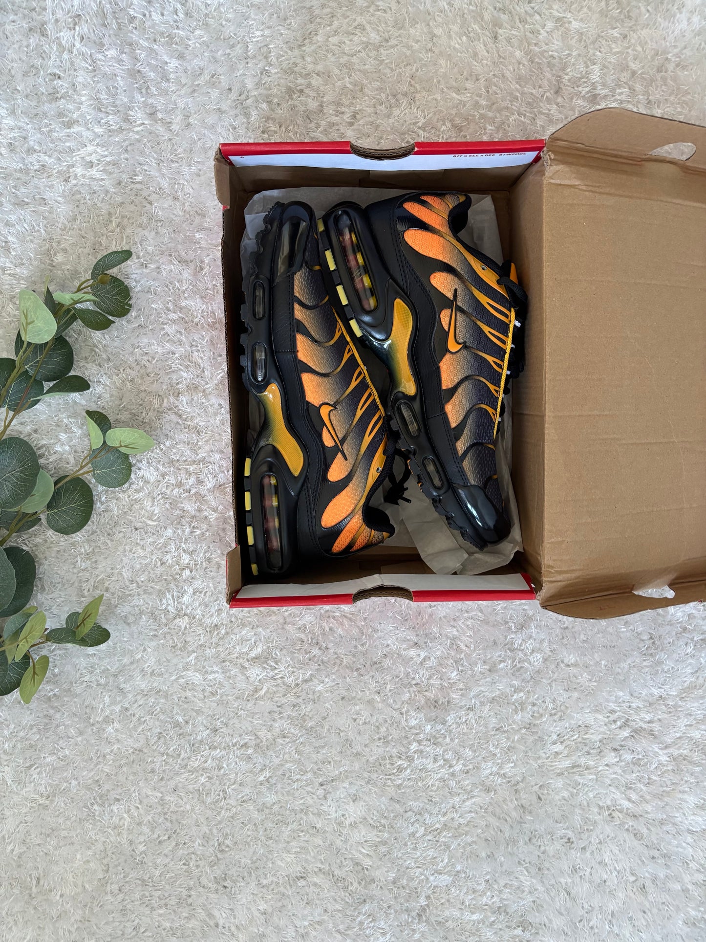 Nike TN