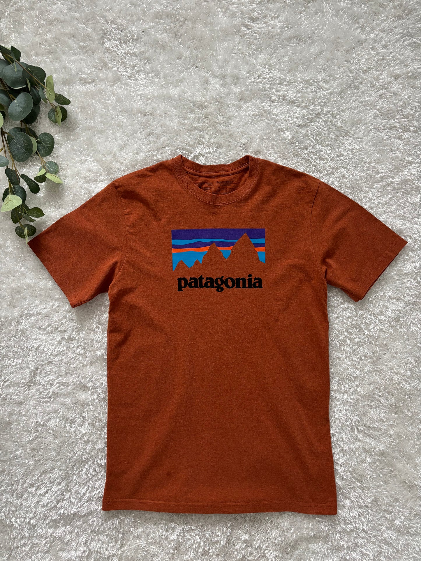 Patagonia T-Shirt