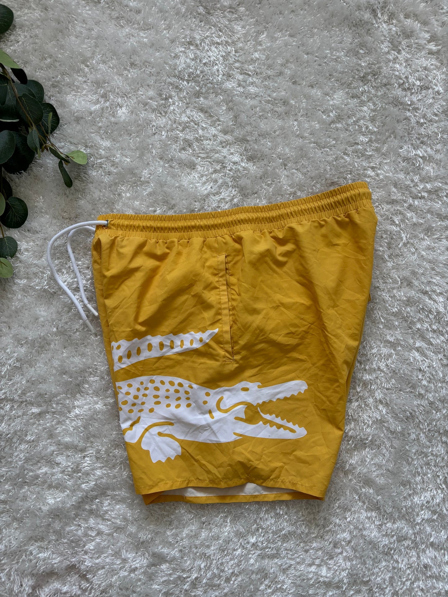 Lacoste Swimming Shorts
