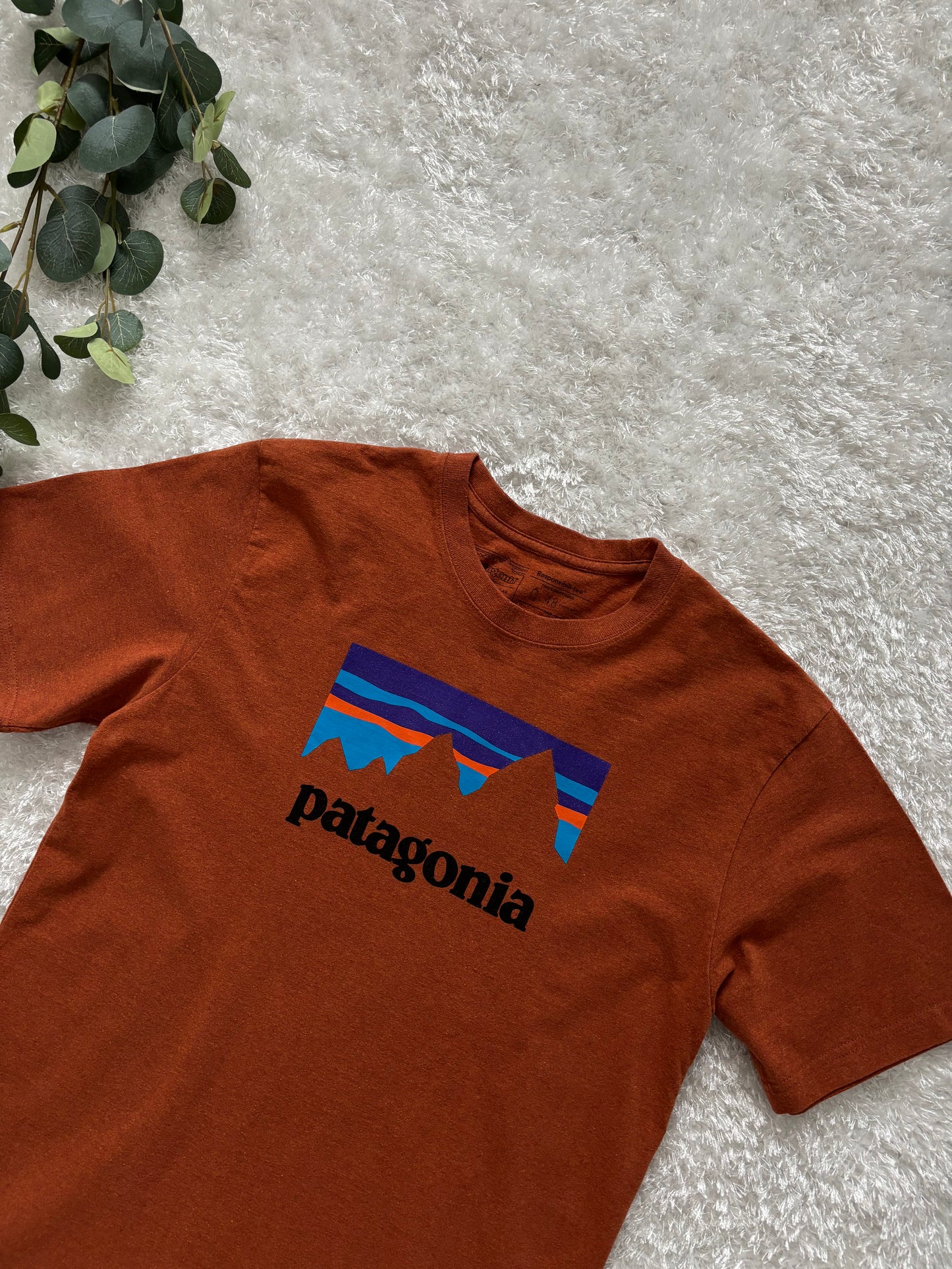 Patagonia T-Shirt