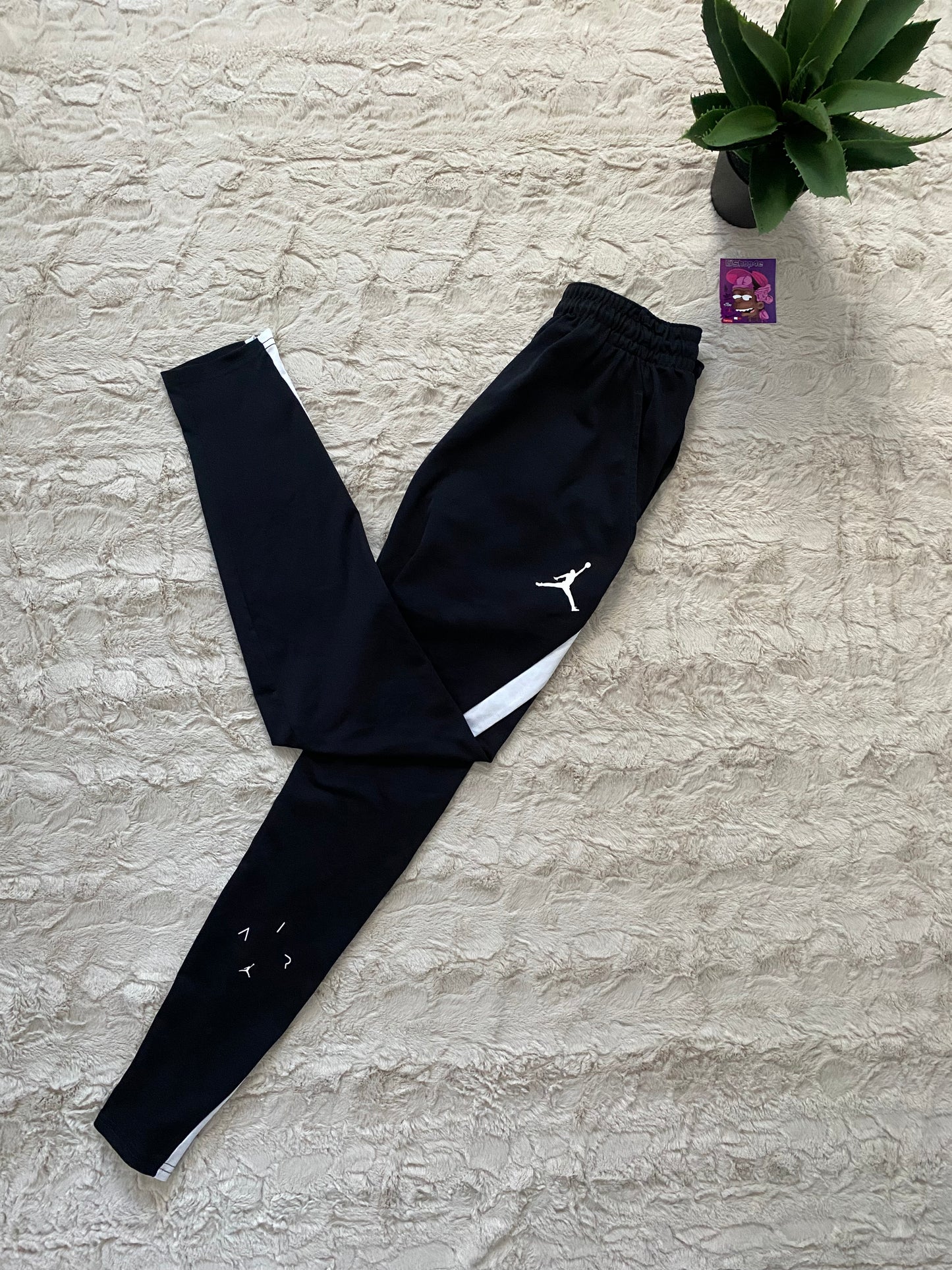 Air Jordan TrackPants