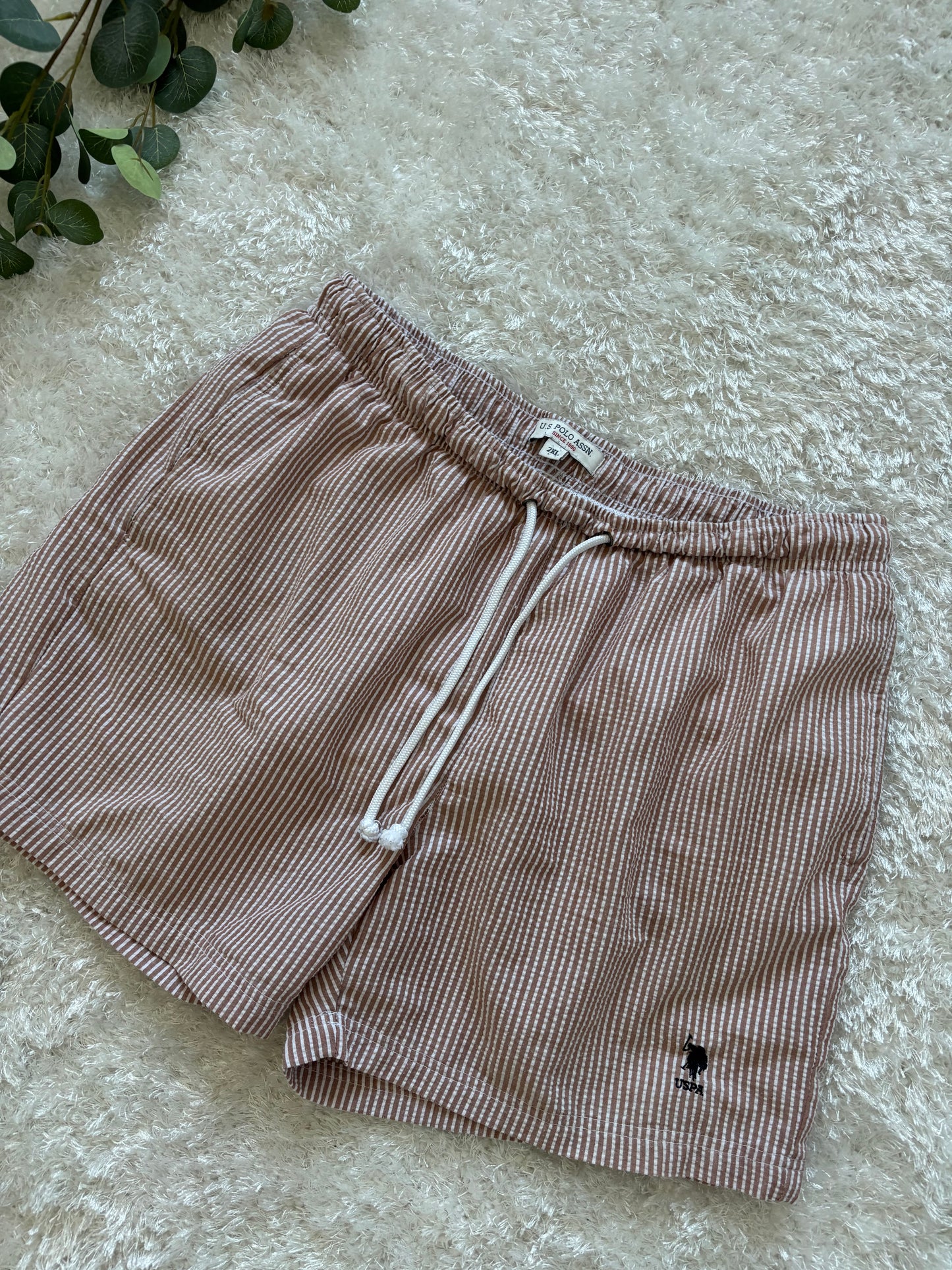 U.S Polo Assn Shorts