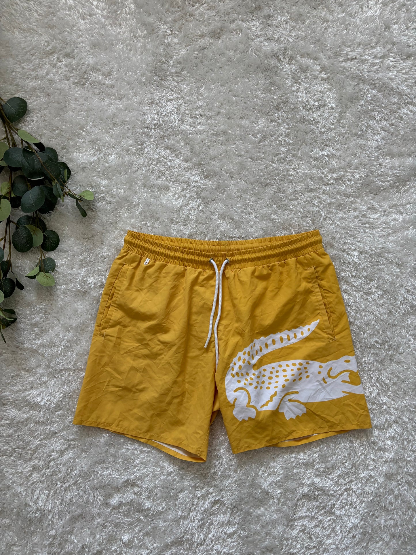 Lacoste Swimming Shorts