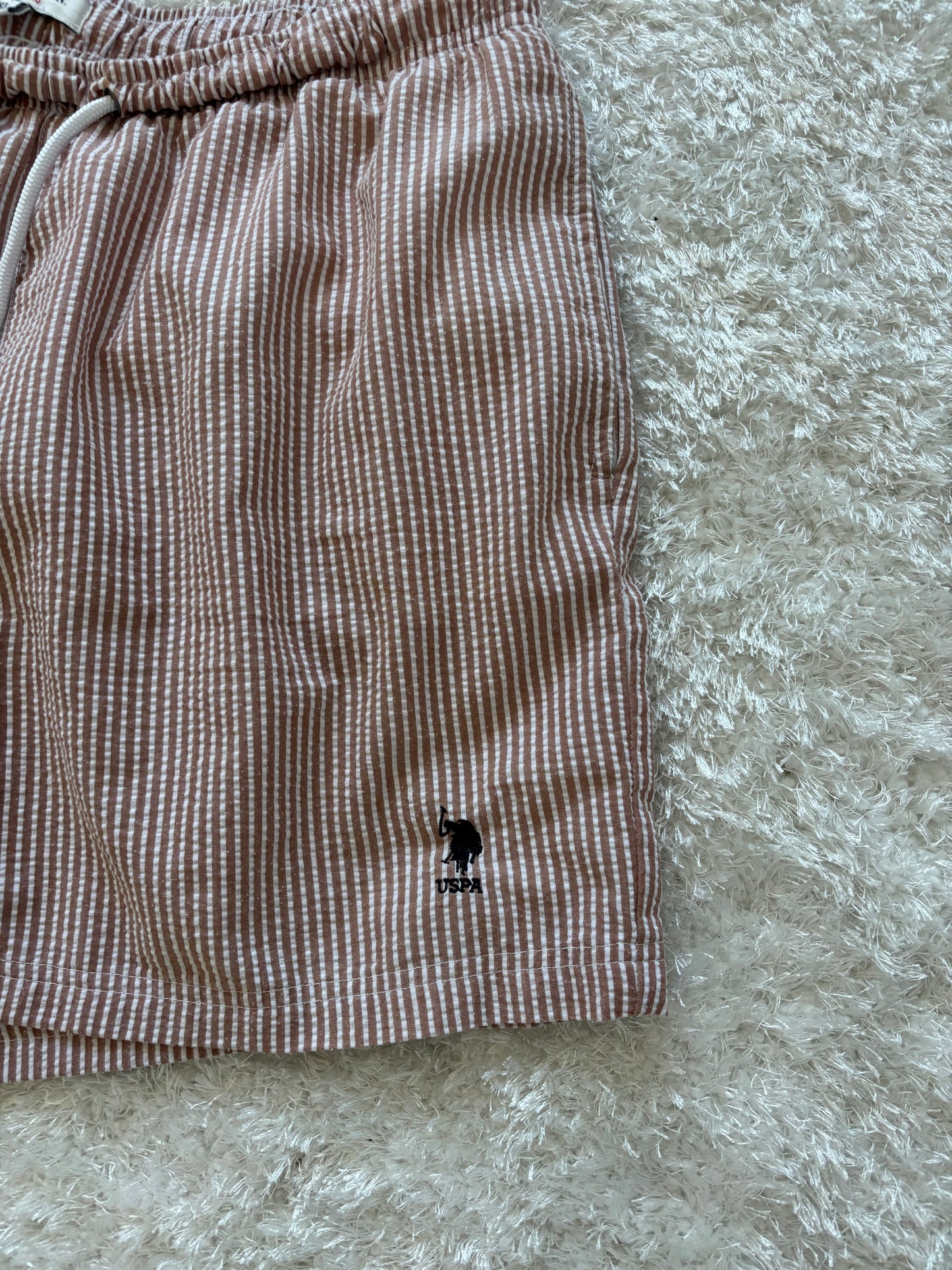 U.S Polo Assn Shorts