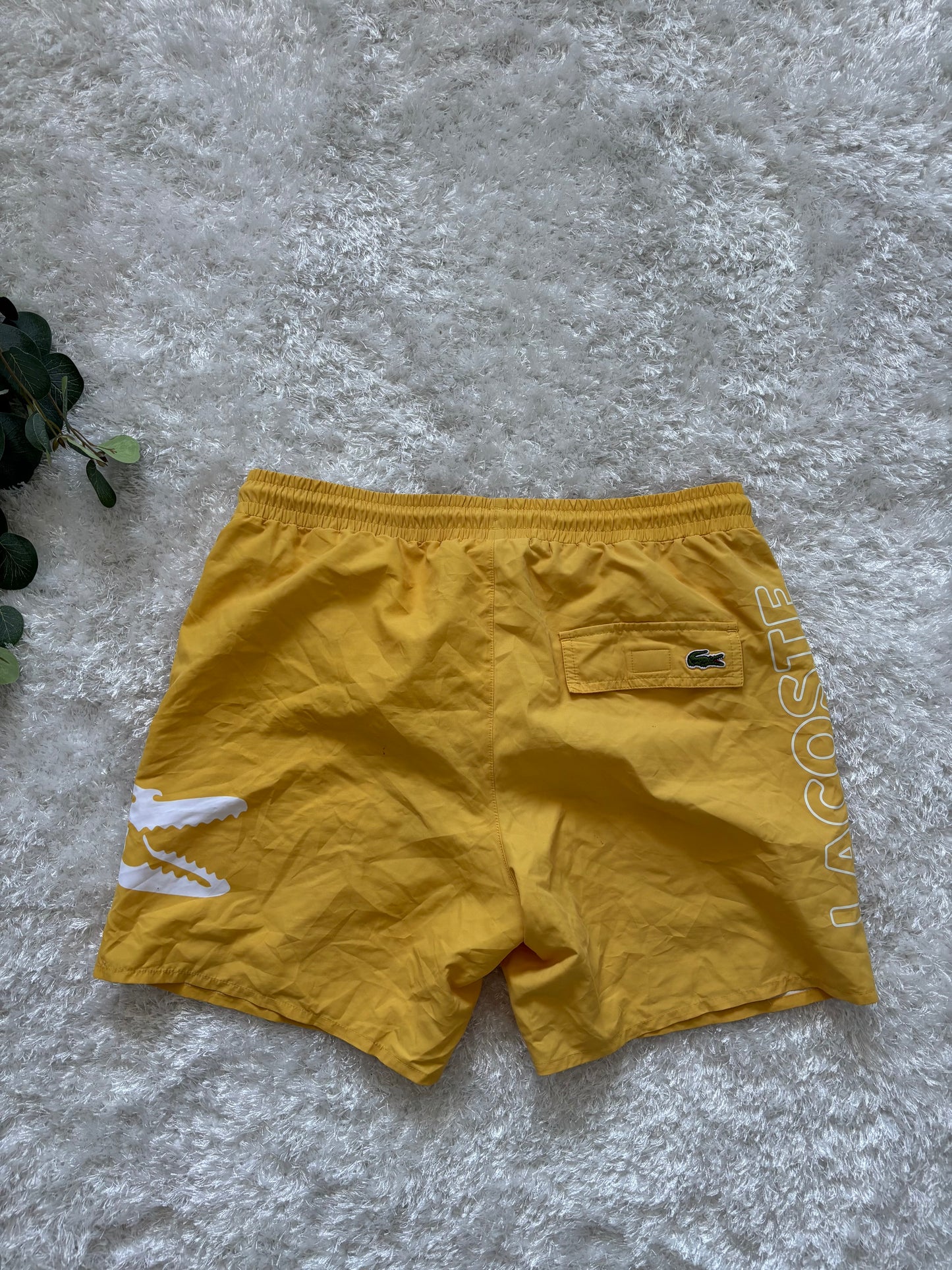 Lacoste Swimming Shorts