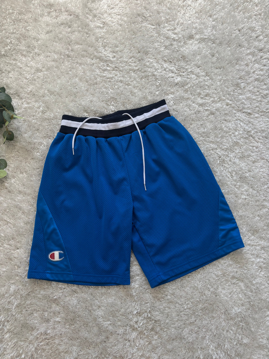Champion Shorts
