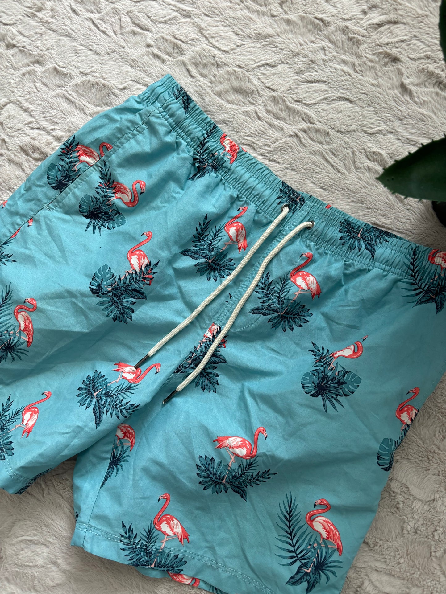 Flamingo Shorts