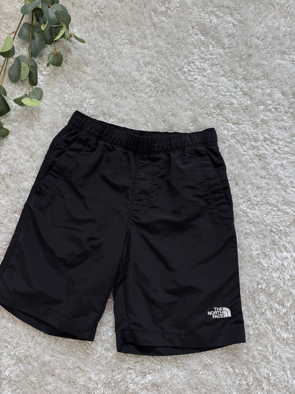 The North Face Shorts