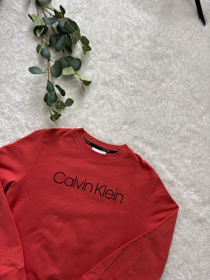 Calvin Klein Long Sleeve (Дамско)