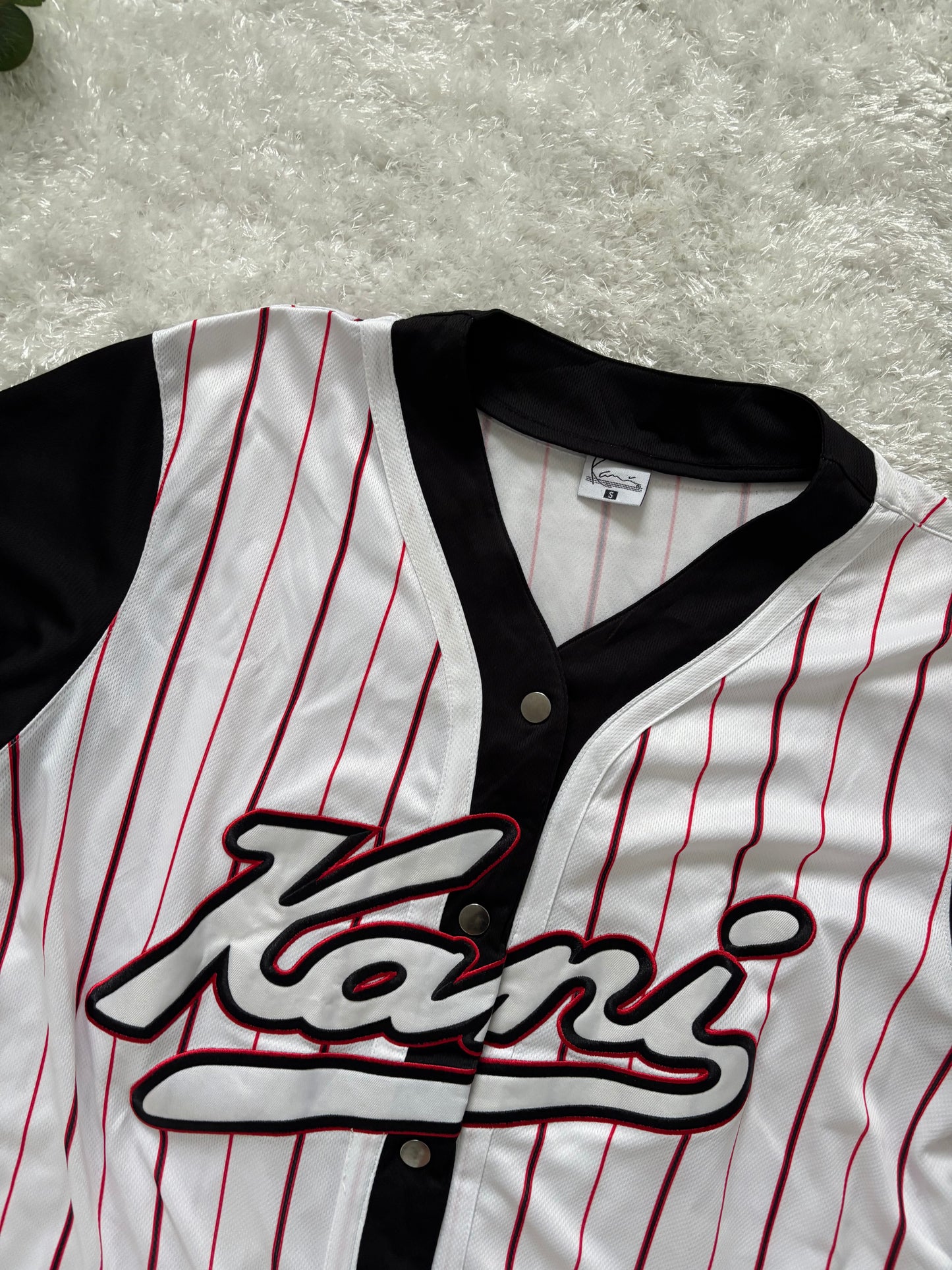 Karl Kani