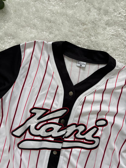 Karl Kani